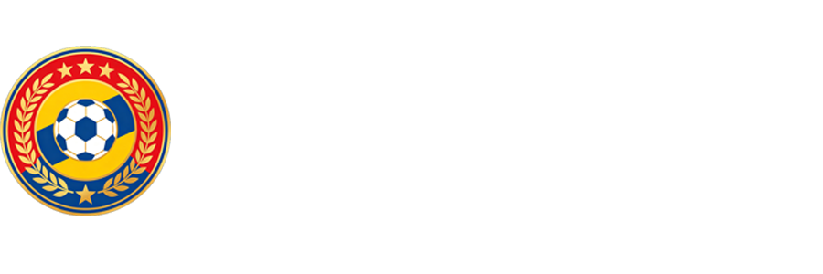 世界杯淘汰赛直播